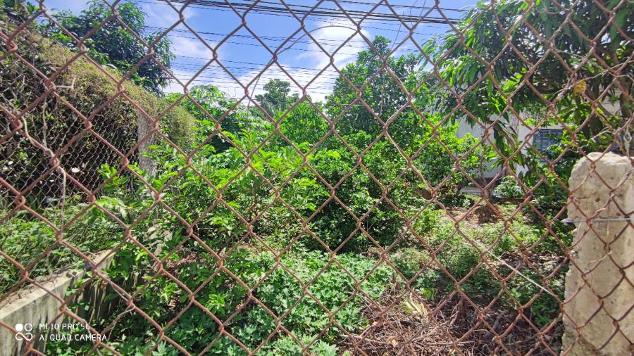 Bán  lô đất  thổ mặt tiền đường đan giá 1,6 tỷ  - Thị trấn Tân Trụ  -  Huyện Tân Trụ  - (ảnh - 5)