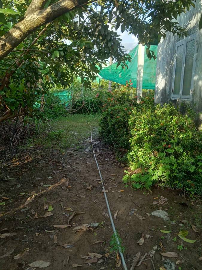 Bán gấp lô đất Thổ có nhà xã Nhựt Ninh giá 1,15 tỷ  - Xã Nhựt Ninh  -  Huyện Tân Trụ  - (ảnh - 2)