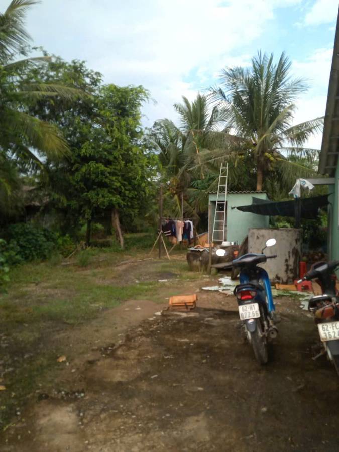 Bán gấp lô đất Thổ có nhà xã Vàm Cỏ giá 2,5 tỷ  - Xã Nhựt Ninh  -  Huyện Tân Trụ  - (ảnh - 7)