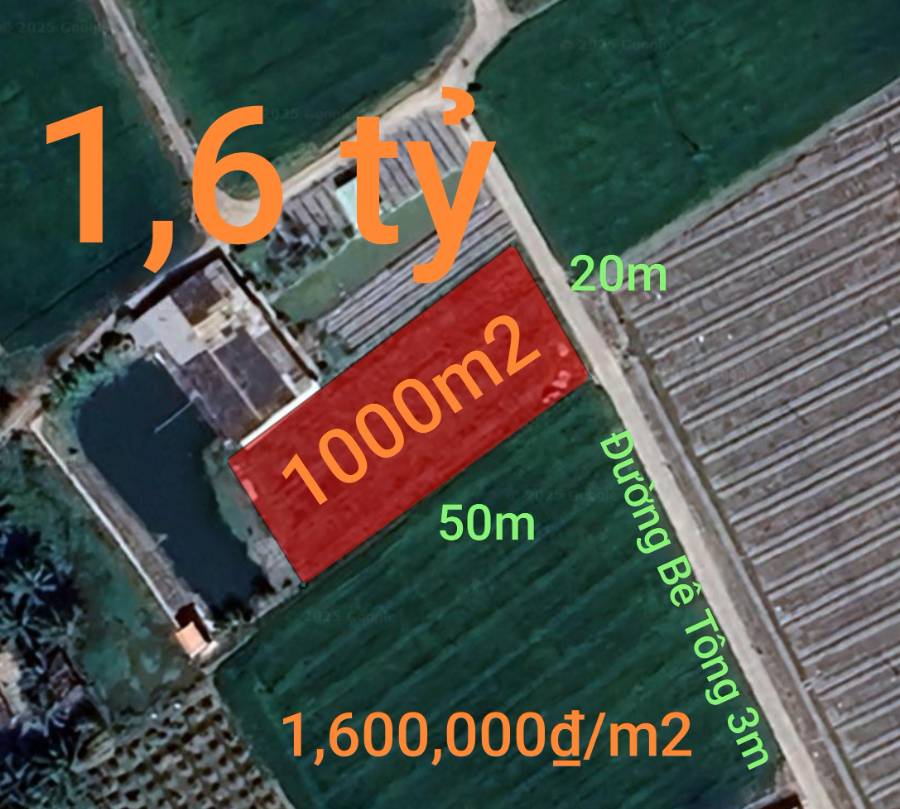 Bán đất lúa chuyển thổ xã Vàm Cỏ gần Quốc Lộ 50B giá 1,6 tỷ  - Xã Đức Tân  -  Huyện Tân Trụ  - (ảnh - 1)