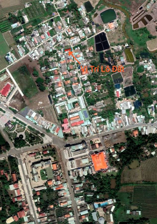 Bán  lô đất  thổ mặt tiền đường đan giá 1,6 tỷ  - Thị trấn Tân Trụ  -  Huyện Tân Trụ  - (ảnh - 7)