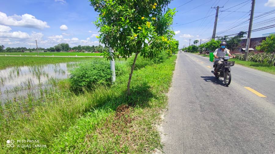 Bán lô đất lúa chuyển thổ mặt tiền Tỉnh Lộ 833B giá 2,5 triệu/m2 - Xã Lạc Tấn  -  Huyện Tân Trụ  - (ảnh - 6)