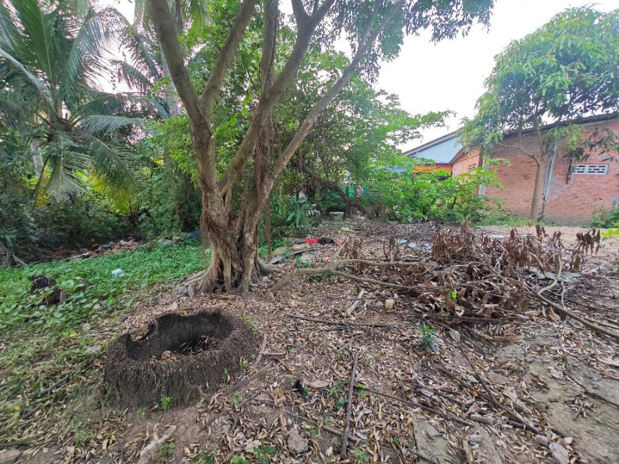 Bán lô đất thổ hai mặt tiền tỉnh lộ 833 giá 1,85 tỷ  - Xã Đức Tân  -  Huyện Tân Trụ  - (ảnh - 7)