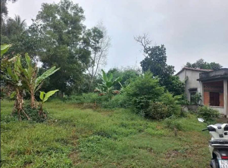 Bán lô đất thổ không dính quy hoạch giá 3,3 tỷ  - Xã Bình Trinh Đông  -  Huyện Tân Trụ  - (ảnh - 4)