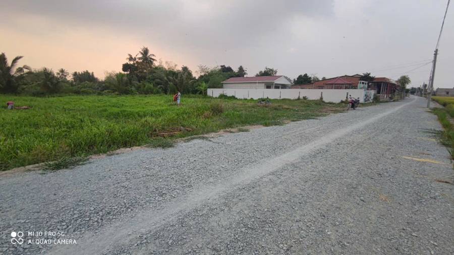 Bán gấp lô đất thổ mặt tiền đường nhựa 5 m giá 550 triệu  - Xã Đức Tân  -  Huyện Tân Trụ  - (ảnh - 7)