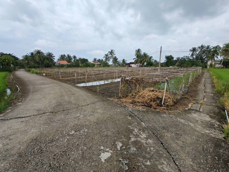 Bán đất lúa chuyển thổ 3 mặt  tiền xã Vàm Cỏ gần Quốc Lộ 50B giá 4,48 tỷ  - Xã Đức Tân  -  Huyện Tân Trụ  - (ảnh - 0)