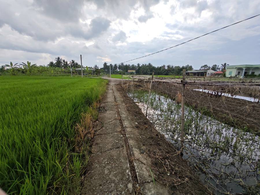 Bán đất lúa chuyển thổ 3 mặt  tiền xã Vàm Cỏ gần Quốc Lộ 50B giá 4,48 tỷ  - Xã Đức Tân  -  Huyện Tân Trụ  - (ảnh - 3)