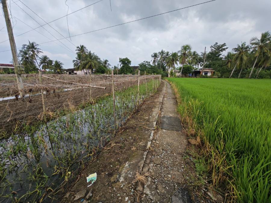 Bán đất lúa chuyển thổ 3 mặt  tiền xã Vàm Cỏ gần Quốc Lộ 50B giá 4,48 tỷ  - Xã Đức Tân  -  Huyện Tân Trụ  - (ảnh - 7)