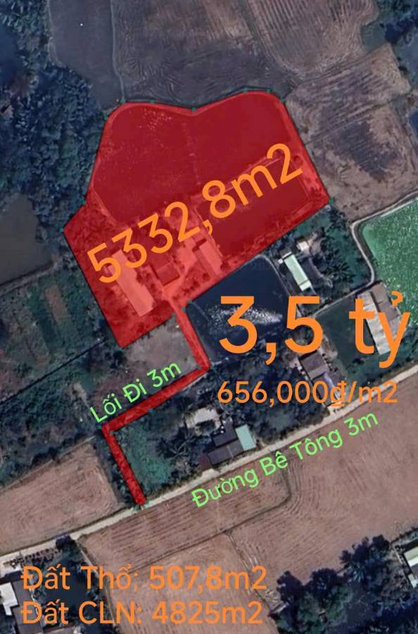 Bán lô đất thổ vườn gần Quốc Lộ 50B giá 3,5 tỷ - Xã Tân Phước Tây  -  Huyện Tân Trụ  - (ảnh - 0)