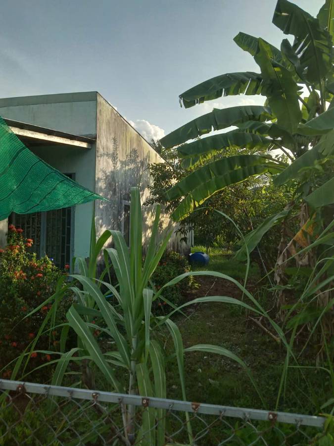 Bán gấp lô đất Thổ có nhà xã Nhựt Ninh giá 1,15 tỷ  - Xã Nhựt Ninh  -  Huyện Tân Trụ  - (ảnh - 4)