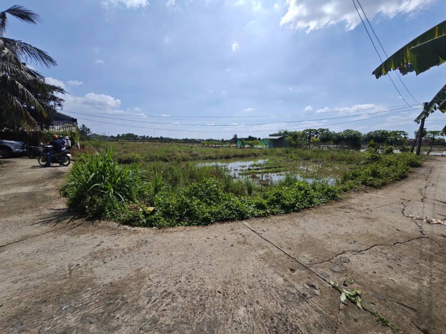 Bán gấp đất lúa xã Vàm Cỏ sát Quốc Lộ 50B giá 1,1 tỷ  - Xã Nhựt Ninh  -  Huyện Tân Trụ  - (ảnh - 6)