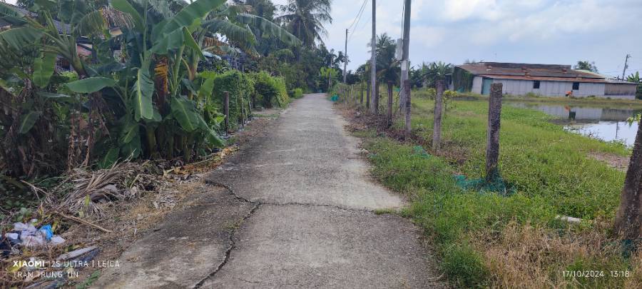 Bán lô đất thổ lúa có  nhà Xã Đức Tân gần Quốc Lộ 50B giá thanh  lý 5 tỷ  - Xã Đức Tân  -  Huyện Tân Trụ  - (ảnh - 5)