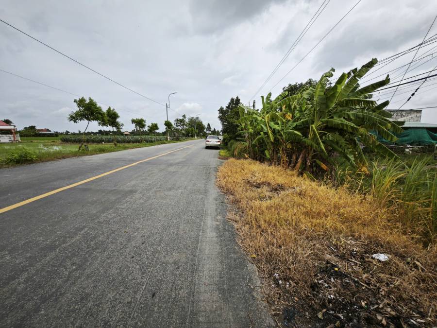 Bán  lô đất lúa chuyển thổ tỉnh lộ 823 gần quốc lộ 50B giá 2,2 tỷ - Xã Nhựt Ninh  -  Huyện Tân Trụ  - (ảnh - 2)