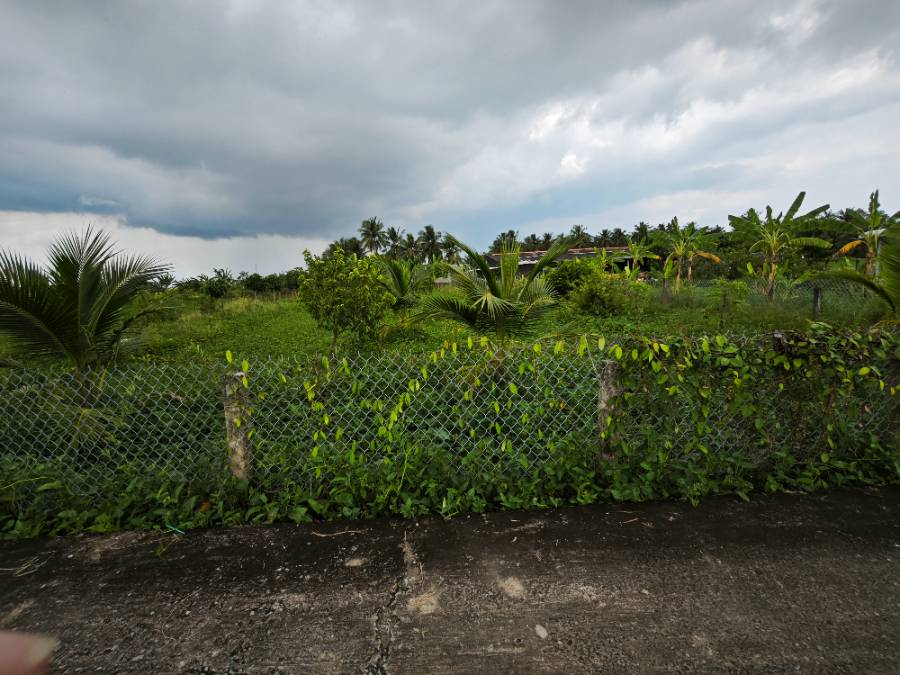 Bán đất lúa chuyển thổ xã Vàm Cỏ gần Quốc Lộ 50B giá 1,6 tỷ  - Xã Đức Tân  -  Huyện Tân Trụ  - (ảnh - 4)