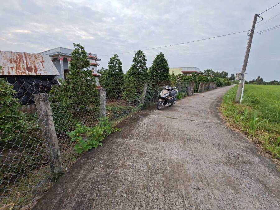  Bán đất xã Vàm Cỏ  chuyển thổ phân lô 2 mặt tiền giá 2,6 tỷ  - Xã Đức Tân  -  Huyện Tân Trụ  - (ảnh - 5)