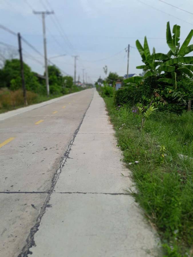 🎯Bán đất thổ vườn đường Lộ Dừa giá 4,6 tỷ  - Xã Vĩnh Công  -  Huyện Châu Thành  - (ảnh - 2)