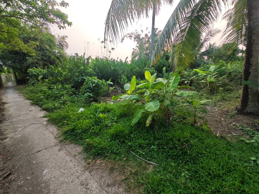 Bán lô đất thổ hai mặt tiền tỉnh lộ 833 giá 1,85 tỷ  - Xã Đức Tân  -  Huyện Tân Trụ  - (ảnh - 4)