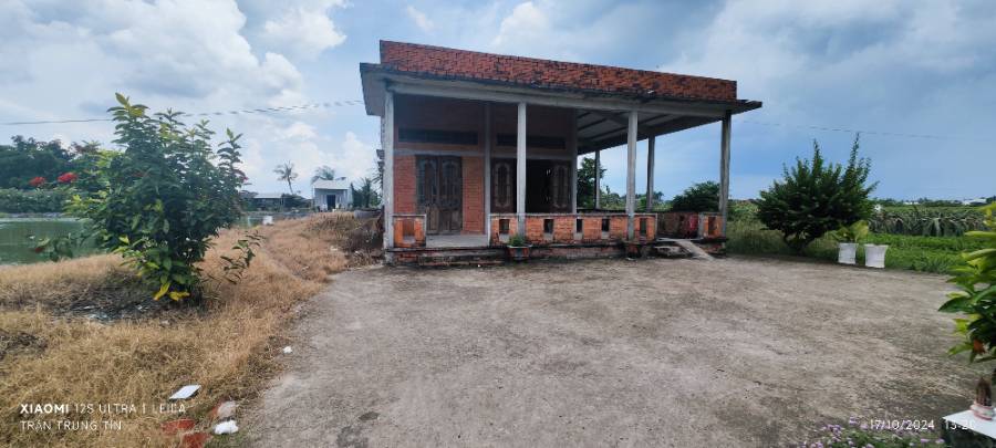 Bán lô đất thổ lúa có  nhà Xã Đức Tân gần Quốc Lộ 50B giá thanh  lý 5 tỷ  - Xã Đức Tân  -  Huyện Tân Trụ  - (ảnh - 6)