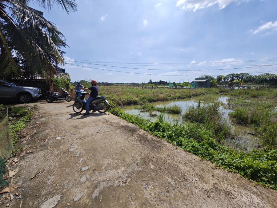 Bán gấp đất lúa xã Vàm Cỏ sát Quốc Lộ 50B giá 1,1 tỷ  - Xã Nhựt Ninh  -  Huyện Tân Trụ  - (ảnh - 7)