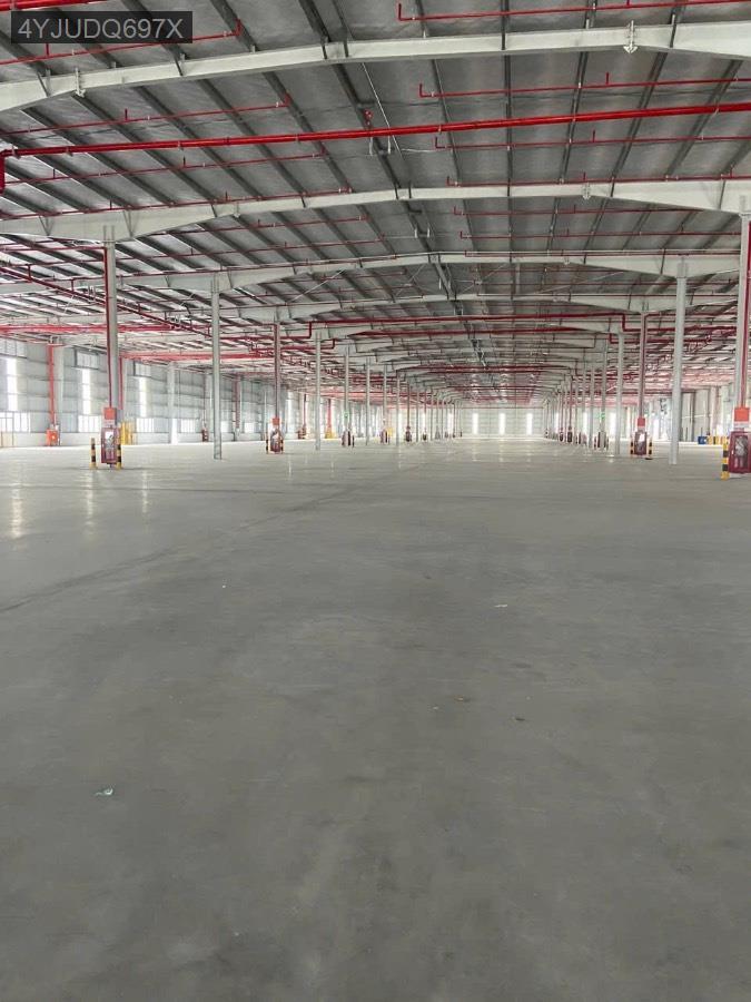 Cho thuê kho xưởng - Thành phố Tân An - Long An - 5000m² - 350triệu - (ảnh - 2)