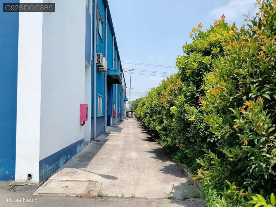 Cho thuê kho xưởng - Huyện Đức Hòa - Long An - 4000m² - 280triệu - (ảnh - 3)