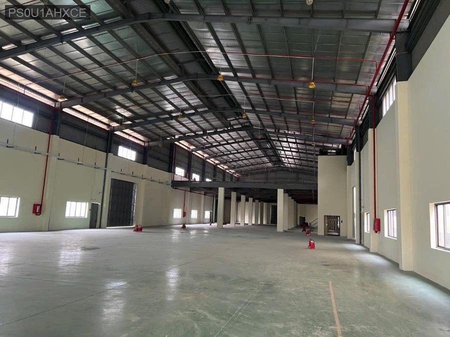 Cho thuê kho xưởng - Huyện Đức Hòa - Long An - 2450m² - 200triệu - (ảnh - 2)