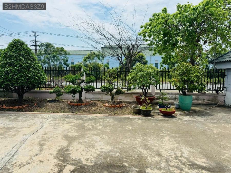 Cho thuê kho xưởng - Huyện Đức Hòa - Long An - 5000m² - 100tỷ - (ảnh - 6)