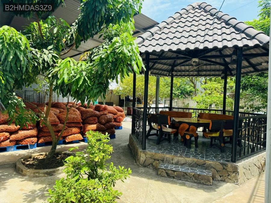 Cho thuê kho xưởng - Huyện Đức Hòa - Long An - 5000m² - 100tỷ - (ảnh - 2)