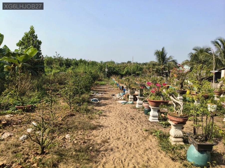 Bán đất - Xã Tân Nhựt  -  Huyện Bình Chánh  - 954m² - 15tỷ - (ảnh - 0)