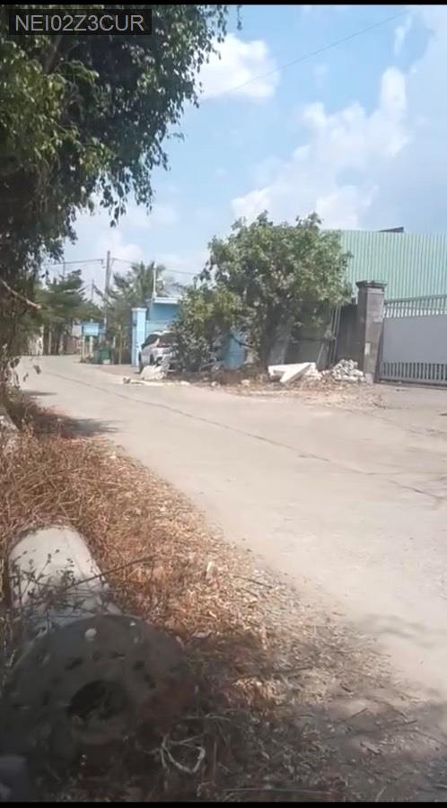Bán kho xưởng - Xã Xuân Thới Sơn  -  Huyện Hóc Môn  - 1000m² - 24tỷ - (ảnh - 1)