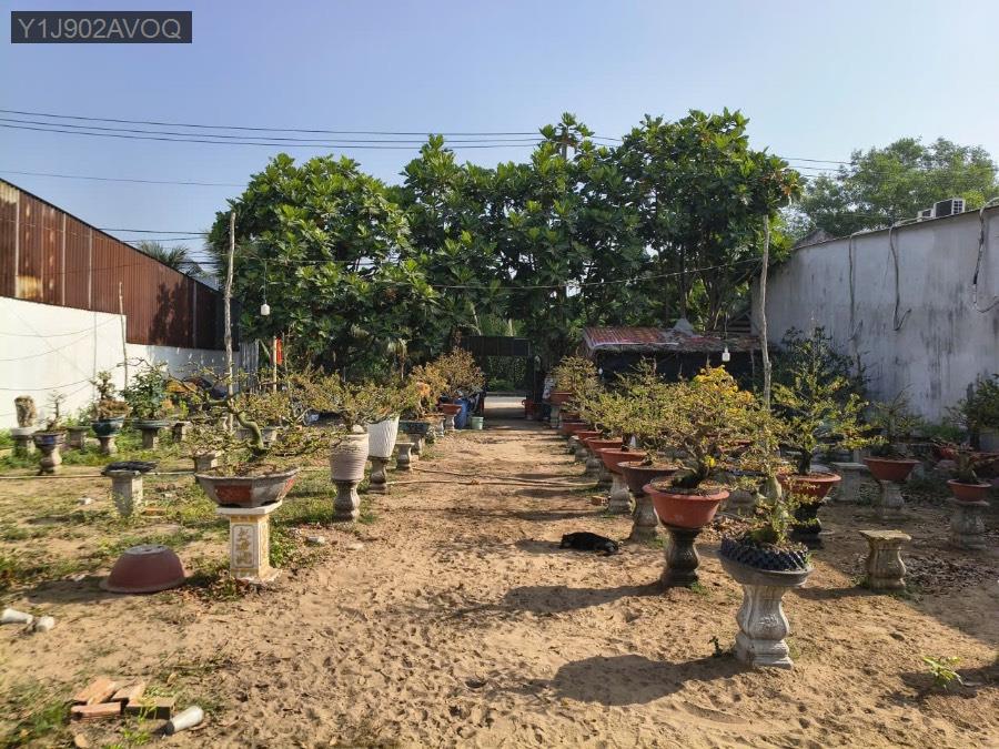 Bán đất - Xã Bình Lợi  -  Huyện Bình Chánh  - 954m² - 14tỷ - (ảnh - 2)