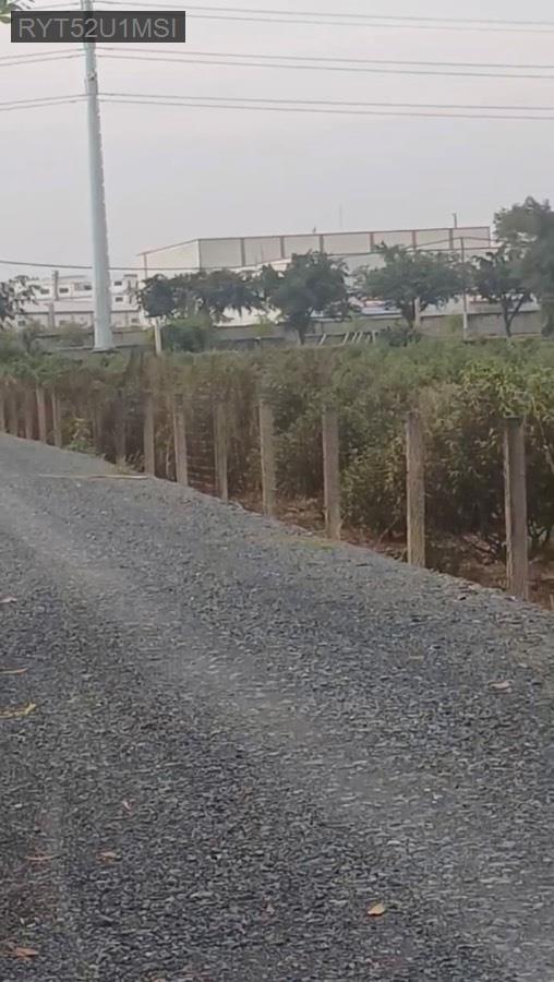 Bán đất - Xã Bình Lợi  -  Huyện Bình Chánh  - 1587m² - 31tỷ - (ảnh - 0)