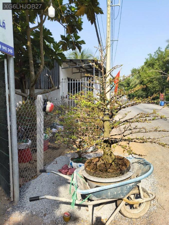Bán đất - Xã Tân Nhựt  -  Huyện Bình Chánh  - 954m² - 15tỷ - (ảnh - 1)