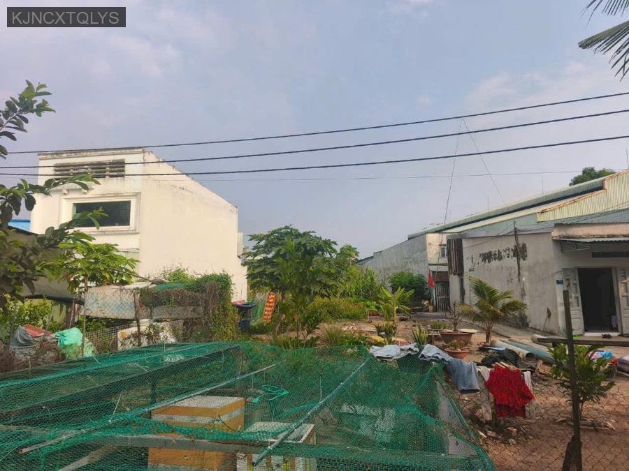 Bán đất - Xã Bình Lợi  -  Huyện Bình Chánh  - 1000m² - 17tỷ - (ảnh - 1)