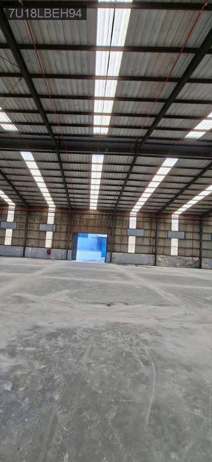 Cho thuê kho xưởng - Huyện Bình Chánh - Tp Hồ Chí Minh - 1000m² - 70triệu - (ảnh - 3)