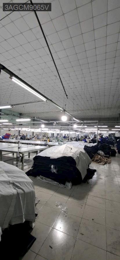 Cho thuê kho xưởng - Tp Hồ Chí Minh - 1500m² - 90triệu - (ảnh - 5)