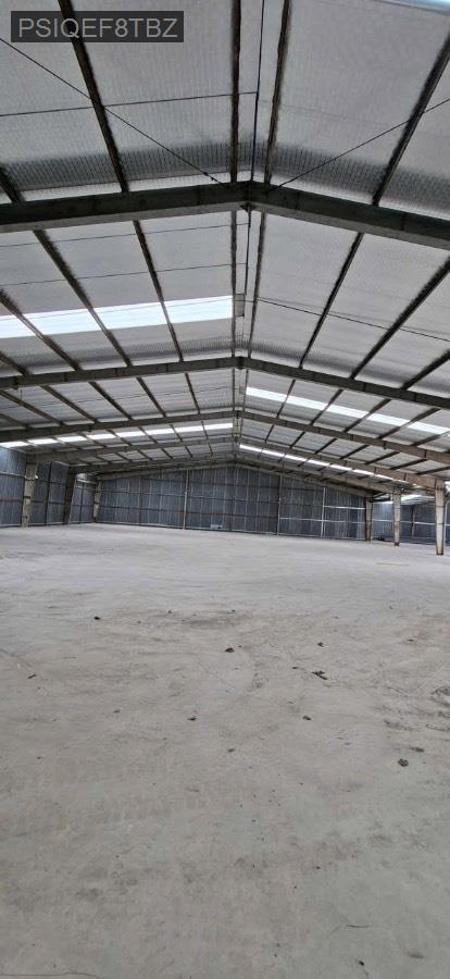 Cho thuê kho xưởng - Huyện Hóc Môn - Tp Hồ Chí Minh - 5000m² - 240triệu - (ảnh - 1)