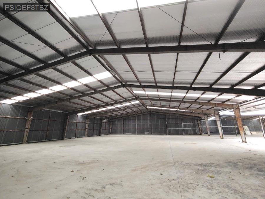 Cho thuê kho xưởng - Huyện Hóc Môn - Tp Hồ Chí Minh - 5000m² - 240triệu - (ảnh - 2)