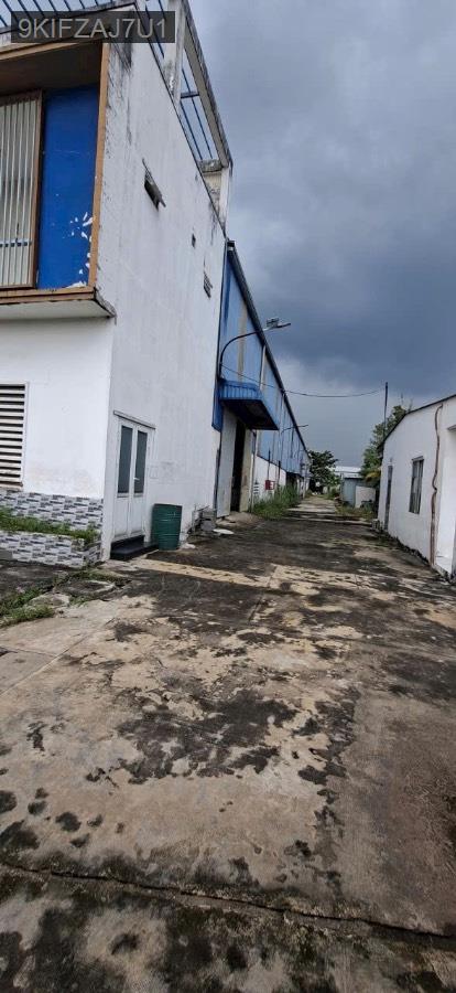 Cho thuê kho xưởng - Huyện Củ Chi - Tp Hồ Chí Minh - 6000m² - 300triệu - (ảnh - 4)