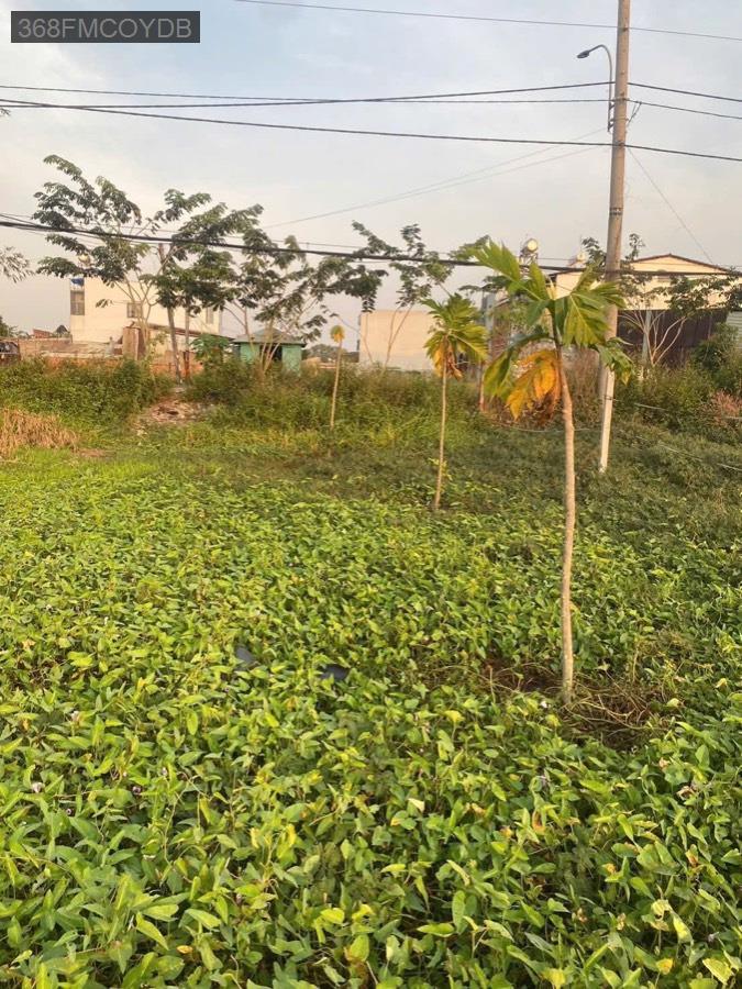 Bán đất - Xã Vĩnh Lộc A  -  Huyện Bình Chánh  - 840m² - 9tỷ - (ảnh - 2)