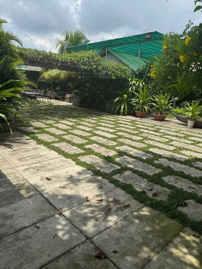 Bán đất - Xã Vĩnh Lộc A  -  Huyện Bình Chánh  - 1000m² - 24tỷ - (ảnh - 0)