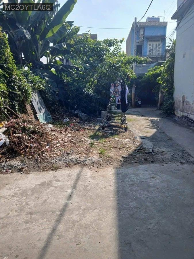 Bán đất - Xã Vĩnh Lộc A  -  Huyện Bình Chánh  - 100m² - 2.7tỷ - (ảnh - 2)