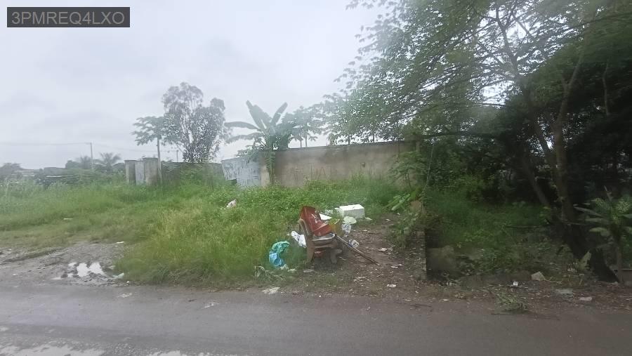 Bán đất - Xã Vĩnh Lộc B  -  Huyện Bình Chánh  - 1439m² - 19.5tỷ - (ảnh - 3)