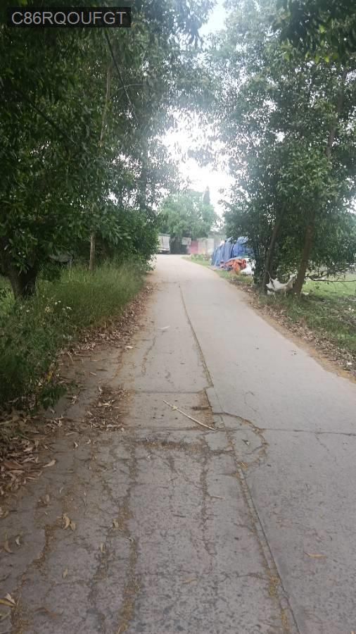 Bán đất - Xã Vĩnh Lộc B  -  Huyện Bình Chánh  - 534m² - 4.5tỷ - (ảnh - 3)