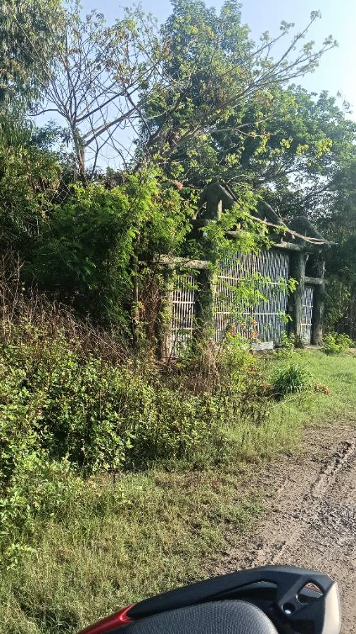 Bán đất - Xã Vĩnh Lộc B  -  Huyện Bình Chánh  - 2000m² - 10tỷ - (ảnh - 3)