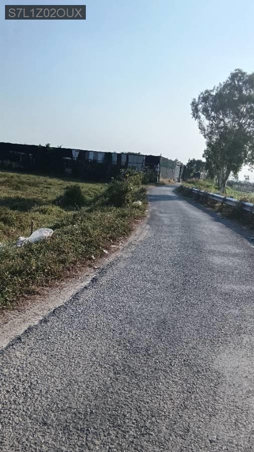 Bán đất - Xã Vĩnh Lộc B  -  Huyện Bình Chánh  - 2121m² - 15.9tỷ - (ảnh - 2)