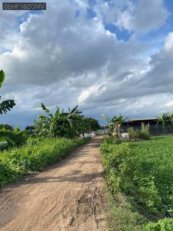 Bán đất - Xã Vĩnh Lộc B  -  Huyện Bình Chánh  - 2000m² - 10.5tỷ - (ảnh - 2)