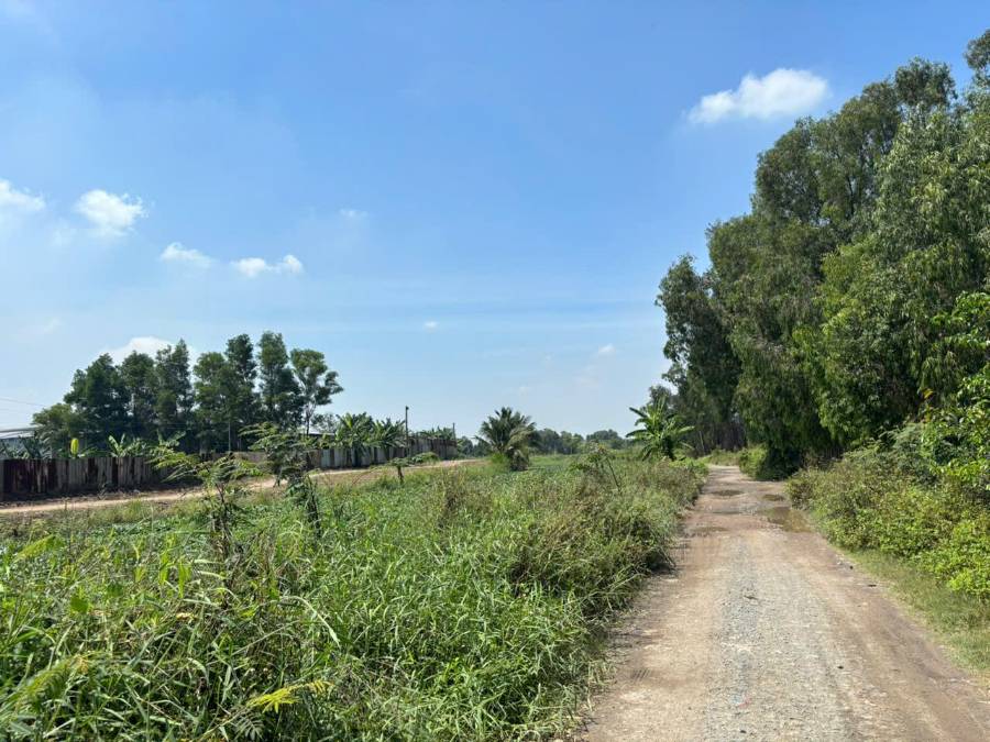 Bán đất - Xã Vĩnh Lộc B  -  Huyện Bình Chánh  - 2000m² - 10tỷ - (ảnh - 1)