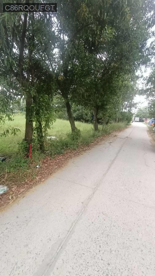 Bán đất - Xã Vĩnh Lộc B  -  Huyện Bình Chánh  - 534m² - 4.5tỷ - (ảnh - 1)