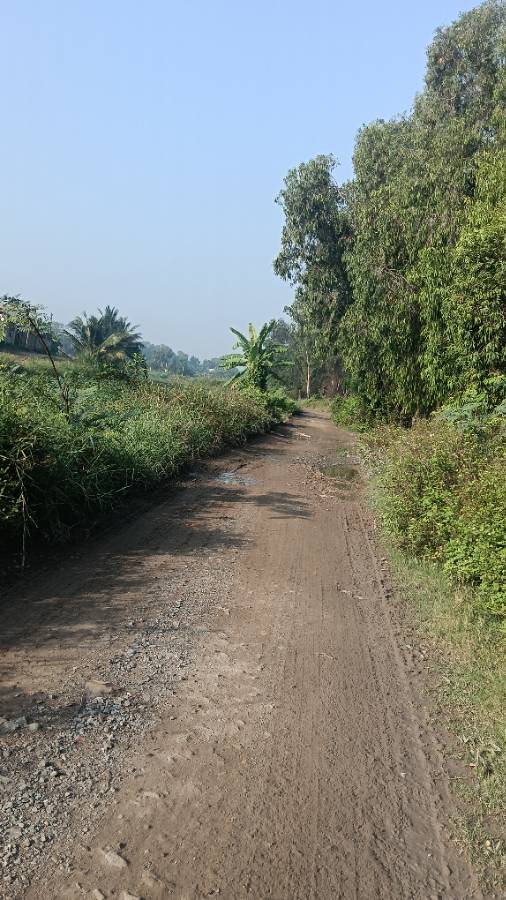 Bán đất - Xã Vĩnh Lộc B  -  Huyện Bình Chánh  - 2000m² - 10tỷ - (ảnh - 2)